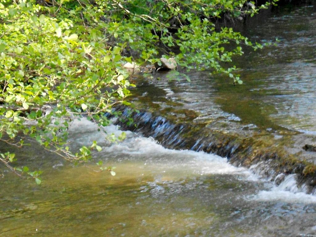 Hotel Restaurant Du Moulin De Barette Blavozy Zewnętrze zdjęcie